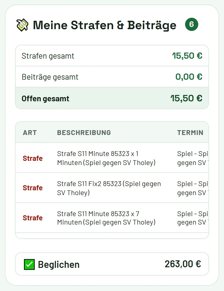 Strafen und Beiträge eines Spielers